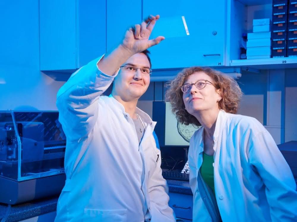 Tobias Claff und Prof. Dr. Christa Müller von der Universität Bonn betrachten einen Glasträger, auf dem sich die Opioid-Rezeptor-Kristalle bilden.