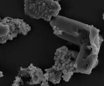 Meteoritenstaubfragmente kolonisiert und biotransformiert von Metallosphaera sedula Meteoritenstaubfragmente kolonisiert und biotransformiert von Metallosphaera sedula