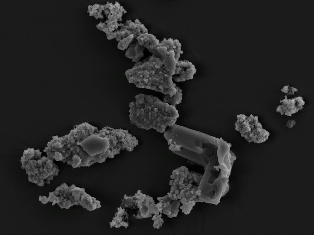 Meteoritenstaubfragmente kolonisiert und biotransformiert von Metallosphaera sedula