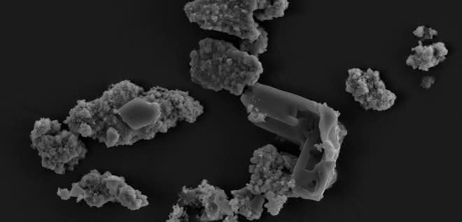 Meteoritenstaubfragmente kolonisiert und biotransformiert von Metallosphaera sedula