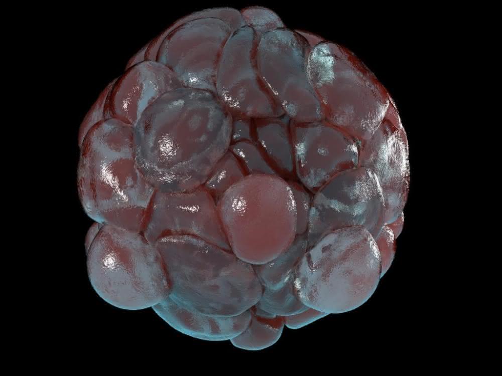 Tumorforschung: Echtzeit-Lebendzell-Assays für 3D-Sphäroide