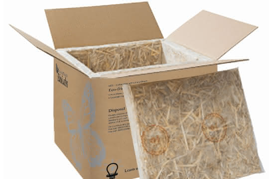 Versandbox mit Innenleben aus Stroh