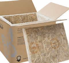 Versandbox mit Innenleben aus Stroh
