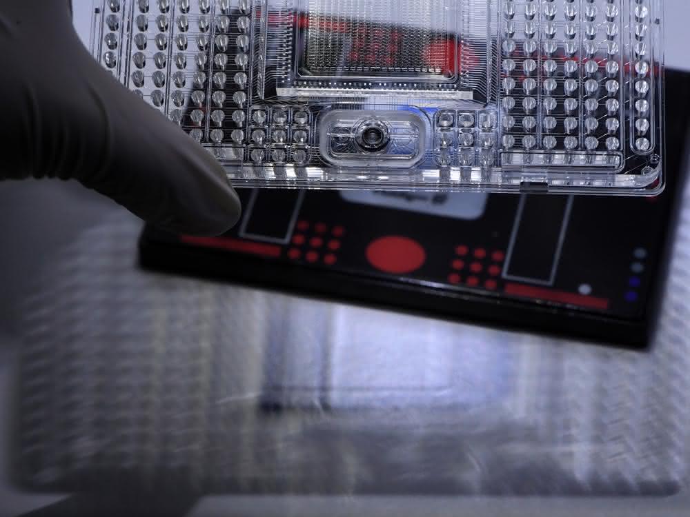 Microarray