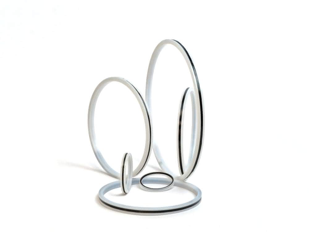 Haenchen_Servoseal