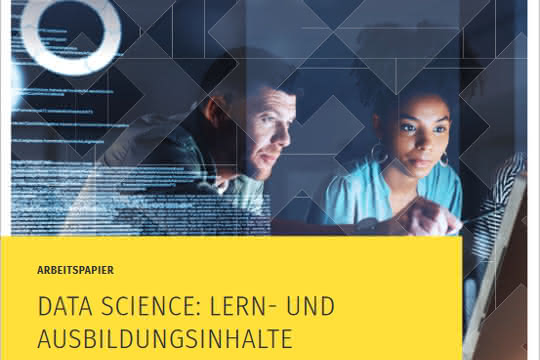 Titelseite des Arbeitspapiers "Data Science: Lern- und Ausbildungsinhalte"