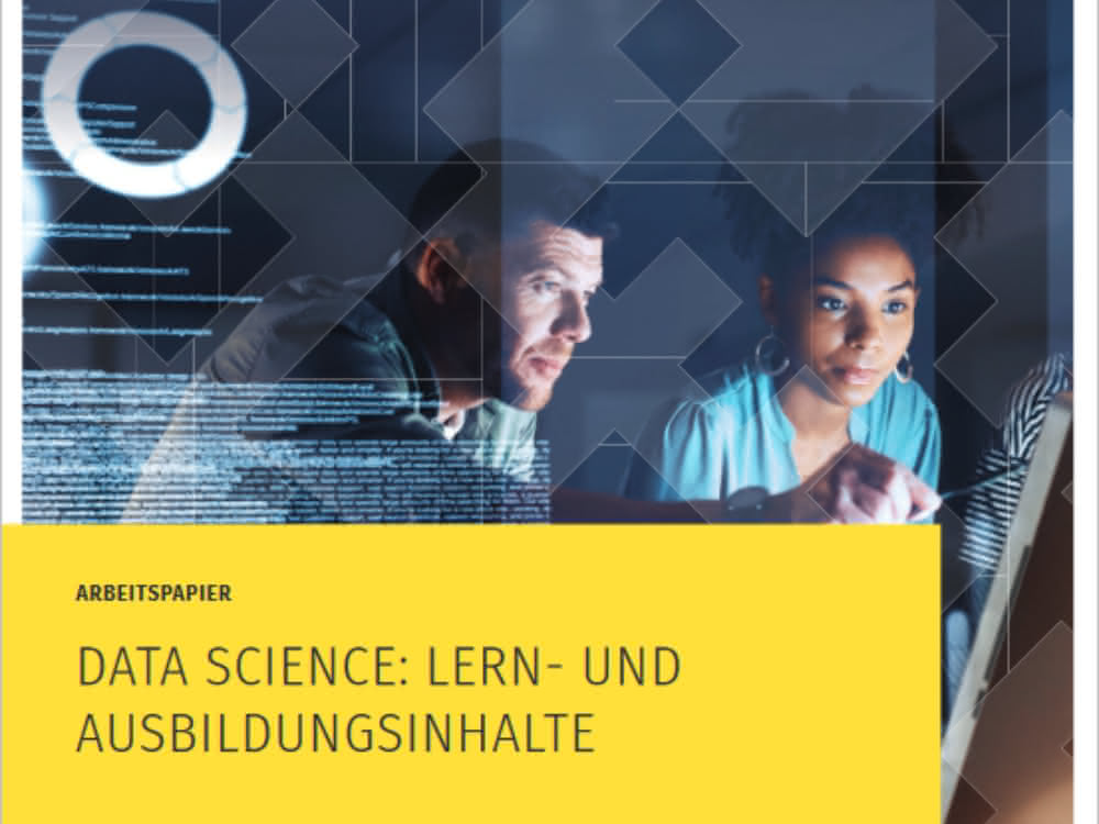 Titelseite des Arbeitspapiers "Data Science: Lern- und Ausbildungsinhalte"