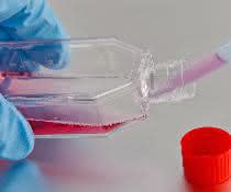 Identifying Biomarkers and Therapeutic Targets: BioMed X Starts Research Program in Autoimmune Diseases with Merck Identifying Biomarkers and Therapeutic Targets: BioMed X Starts Research Program in Autoimmune Diseases with Merck
