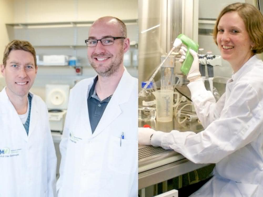 Eike Steinmann, Daniel Todt und Martina Friesland (von links) stellen der wissenschaftlichen Community ein Zellmodell und umfassende Daten zum Hepatitis-E-Virus zur Verfügung. Eike Steinmann, Daniel Todt und Martina Friesland