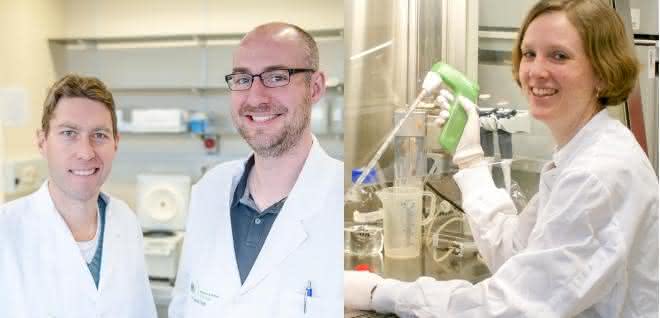 Eike Steinmann, Daniel Todt und Martina Friesland (von links) stellen der wissenschaftlichen Community ein Zellmodell und umfassende Daten zum Hepatitis-E-Virus zur Verfügung. Eike Steinmann, Daniel Todt und Martina Friesland