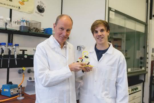 Christian Twittenhoff (rechts) und Franz Narberhaus haben ein Modell erstellt, das zeigt, wie das RNA-Thermometer aufschmilzt.