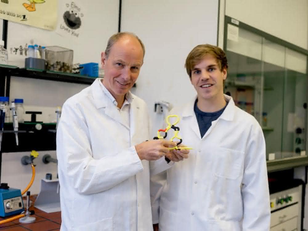 Christian Twittenhoff (rechts) und Franz Narberhaus haben ein Modell erstellt, das zeigt, wie das RNA-Thermometer aufschmilzt.