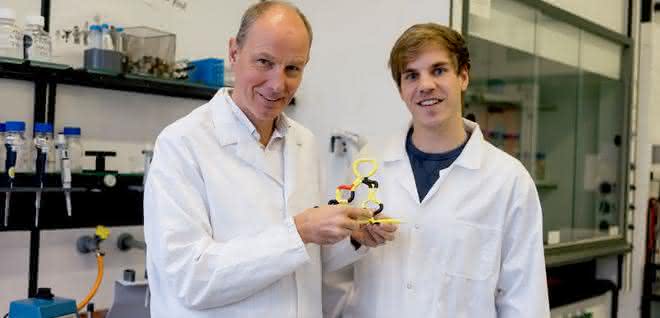 Christian Twittenhoff (rechts) und Franz Narberhaus haben ein Modell erstellt, das zeigt, wie das RNA-Thermometer aufschmilzt. Christian Twittenhoff (rechts) und Franz Narberhaus haben ein Modell erstellt, das zeigt, wie das RNA-Thermometer aufschmilzt.