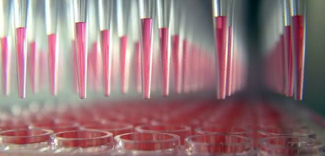 Automatisiertes Pipettieren