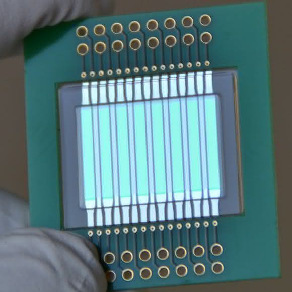 Biosensor: Sechs auf einen Streich: Schnelltest als Frühwarnsystem für Verunreinigungen in Milch Biosensor: Sechs auf einen Streich: Schnelltest als Frühwarnsystem für Verunreinigungen in Milch