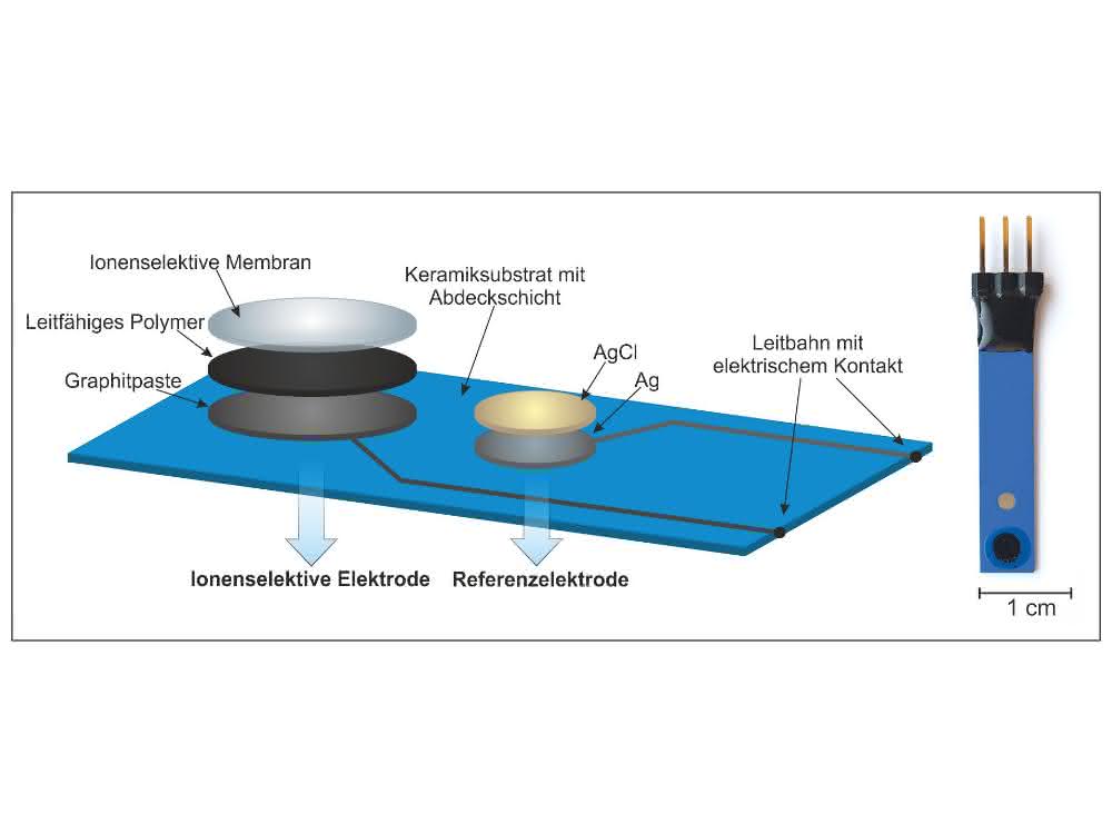 Bild 1: Schematischer Aufbau (links) und Sensor (rechts). Bild 1: Schematischer Aufbau (links) und Sensor (rechts).