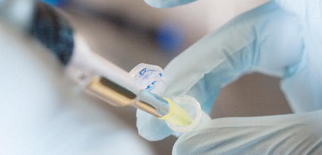 Biologie trifft Technik: TU Darmstadt gründet Zentrum für Synthetische Biologie Gezeigt ist eine typische Laborarbeit: Pipettieren