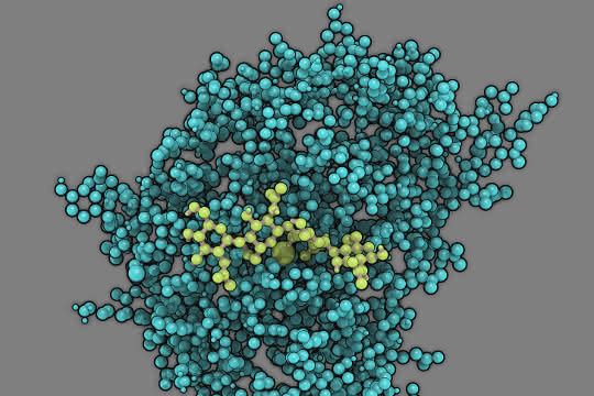 Modell des Enzyms Chitosan-Deacetylase mit seinem Substrat Chitosan