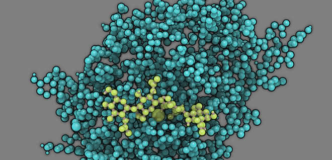 Modell des Enzyms Chitosan-Deacetylase mit seinem Substrat Chitosan