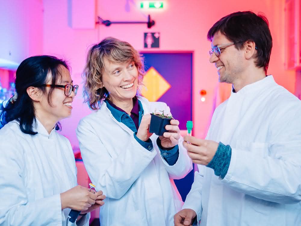 Dr. Yanbo Mao, Prof. Rita Groß-Hardt und Dr. Thomas Nake im Labor