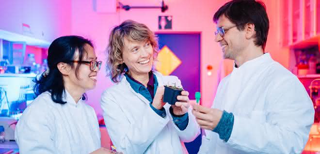 Dr. Yanbo Mao, Prof. Rita Groß-Hardt und Dr. Thomas Nake im Labor