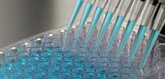 Pipettieren: ein Zusammenspiel aus Instrument, Zubehör und richtiger Technik Pipettieren