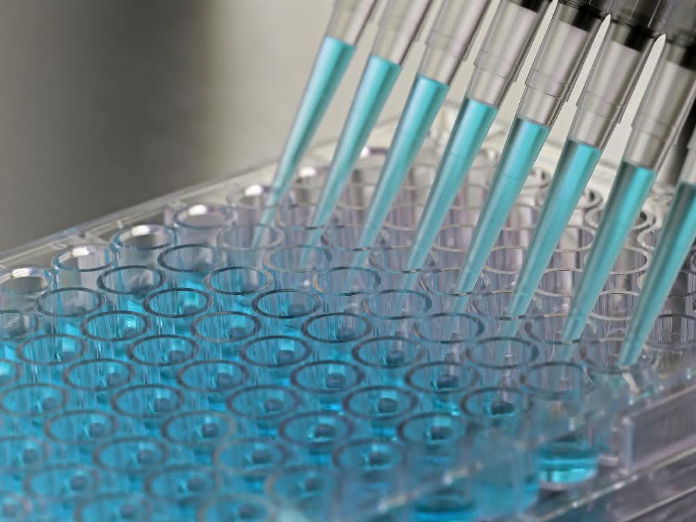 Pipettieren