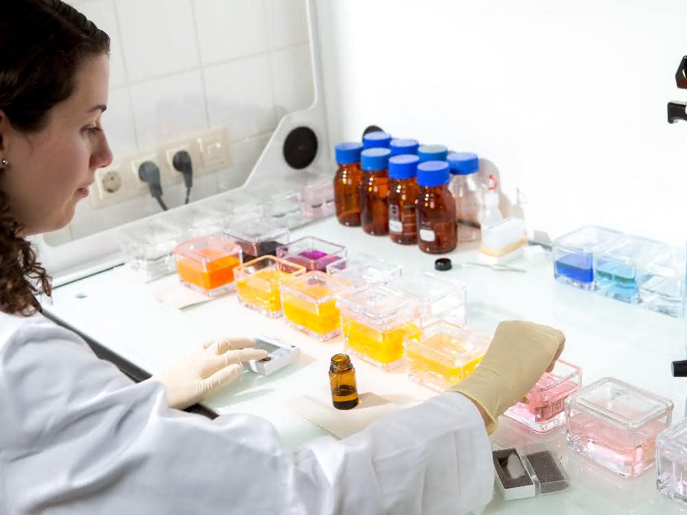 Zellforschung: Schutzmechanismus der Mitochondrien identifiziert Forscherin bei Arbeiten im Labor