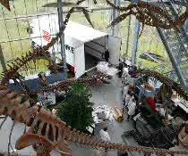 DB Schenker transports dinosaur skeleton DB Schenker transports dinosaur skeleton