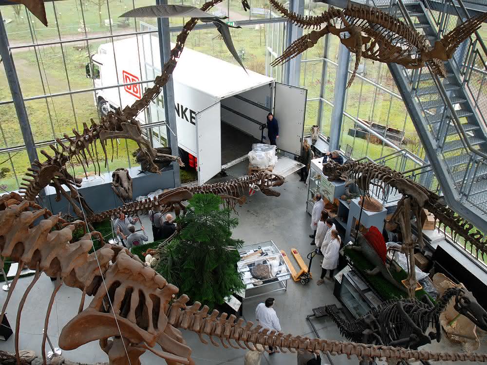 DB Schenker transports dinosaur skeleton