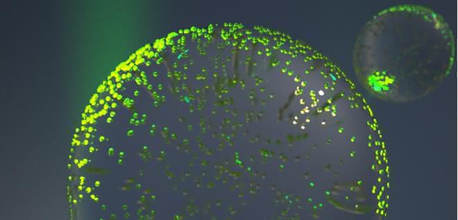 Computergenerierte Grafik eines Partikels, wie sie auch für die Experimente zum Maschinenlernen verwendet wird Polymerpartikel mit vielen Goldnanopartikeln (Grafik)