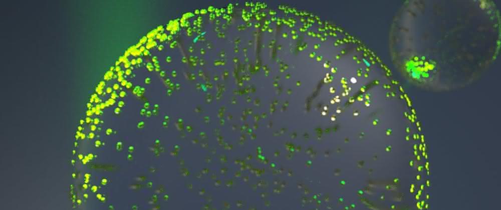Computergenerierte Grafik eines Partikels, wie sie auch für die Experimente zum Maschinenlernen verwendet wird Polymerpartikel mit vielen Goldnanopartikeln (Grafik)