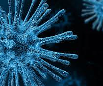 Coronavirus (Symbolbild) Coronavirus (Symbolbild)