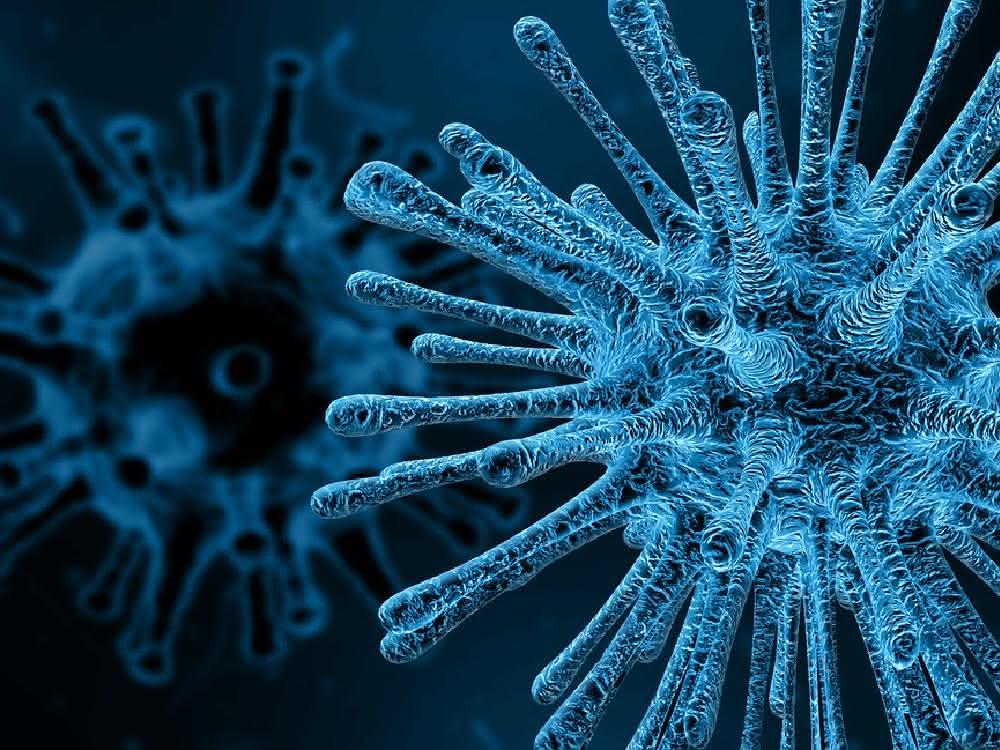 Coronavirus (symbolic image) Coronavirus (symbolic image)