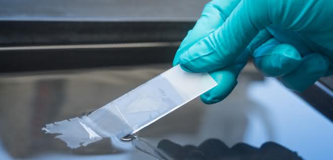 Labordiagnostik: Studie zur Tumormutationslast als Biomarker bei Krebs Bild zeigt Tätigkeit im Labor