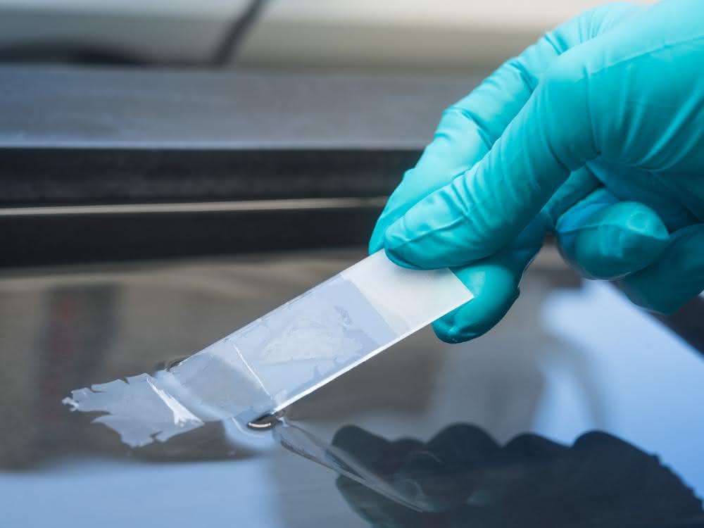 Labordiagnostik: Studie zur Tumormutationslast als Biomarker bei Krebs Bild zeigt Tätigkeit im Labor