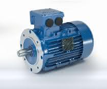 Universal motor
