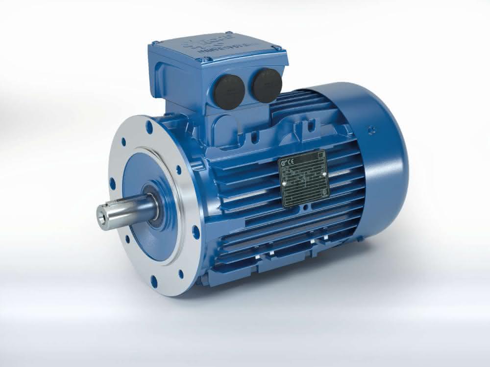 Universal motor