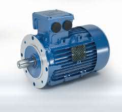 Universal motor