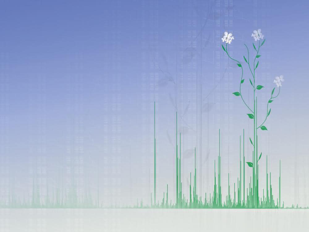 Mit der Kartierung von mehr als 18.000 Proteinen haben Wissenschaftlerinnen und Wissenschaftler der TUM ein umfangreiches Nachschlagewerk für die populäre Modellpflanze Arabidopsis herausgebracht. Symbolgrafik: Analytisches Spektrum (Peaks) und Pflanze