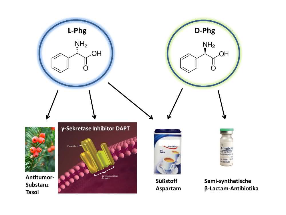Formeln von L- und D-Phenylglycin mit Beispielen, wofür Phenylglycin eingesetzt wird