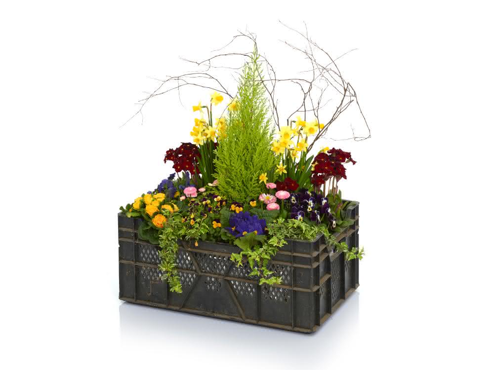 AUER_Packaging Sustainability