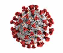 Coronavirus-Modellbild