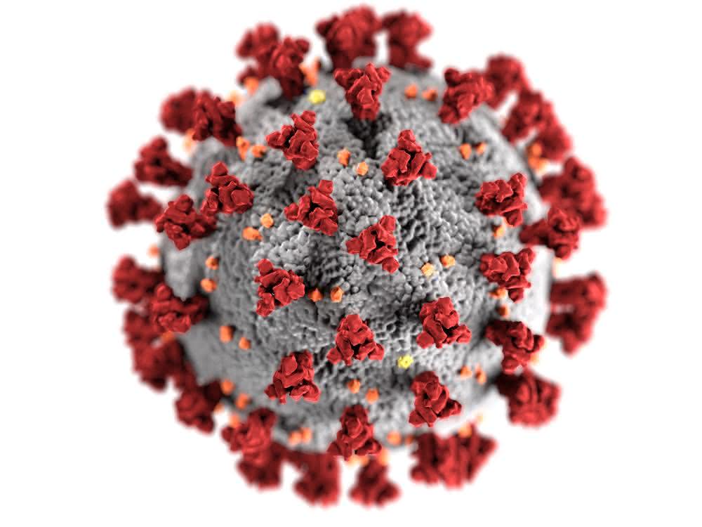Coronavirus-Modellbild