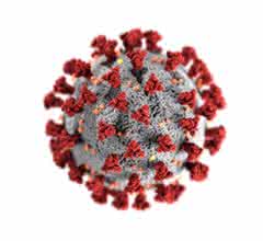 Coronavirus-Modellbild