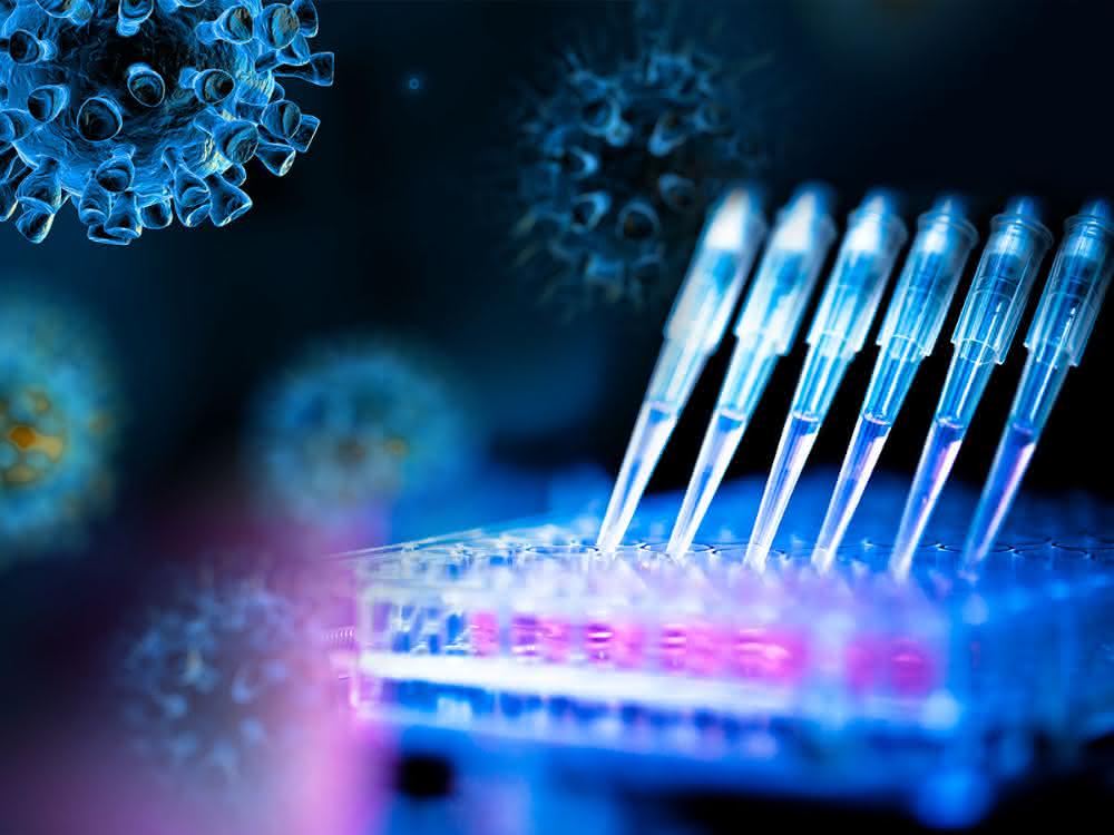Faulhaberr laboratory analysis Faulhaberr laboratory analysis