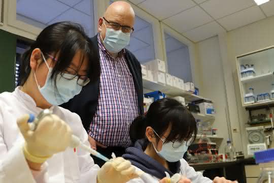 Dr. Linlin Zhang, Prof. Dr. Rolf Hilgenfeld und Xinyuanyuan Sun im Labor.
