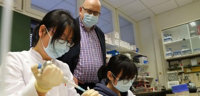 Dr. Linlin Zhang, Prof. Dr. Rolf Hilgenfeld und Xinyuanyuan Sun. Dr. Linlin Zhang, Prof. Dr. Rolf Hilgenfeld und Xinyuanyuan Sun im Labor.