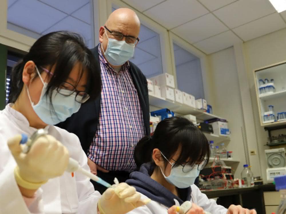 Dr. Linlin Zhang, Prof. Dr. Rolf Hilgenfeld und Xinyuanyuan Sun. Dr. Linlin Zhang, Prof. Dr. Rolf Hilgenfeld und Xinyuanyuan Sun im Labor.