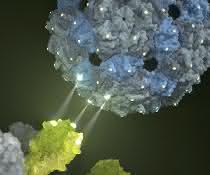 Phagenhülle dockt an und inhibiert das Influenza-Virus (Kunstbild).